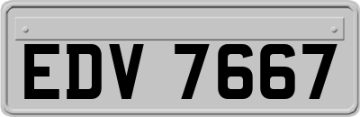 EDV7667
