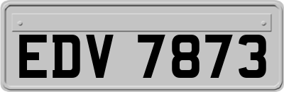 EDV7873
