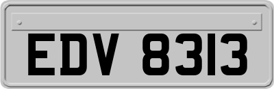 EDV8313