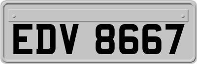 EDV8667
