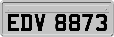 EDV8873