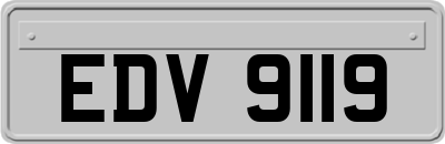 EDV9119