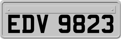 EDV9823
