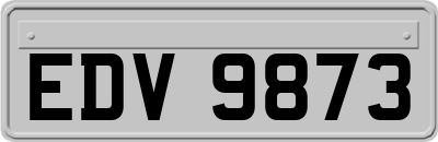 EDV9873