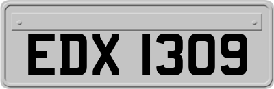 EDX1309
