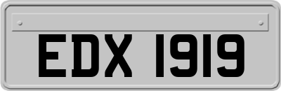EDX1919