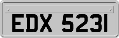 EDX5231