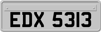 EDX5313