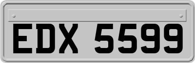 EDX5599
