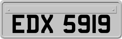 EDX5919