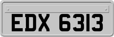EDX6313