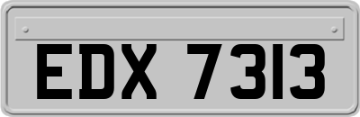 EDX7313