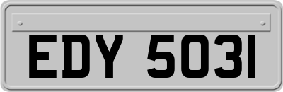 EDY5031