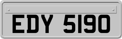 EDY5190