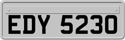 EDY5230