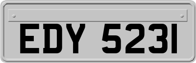 EDY5231