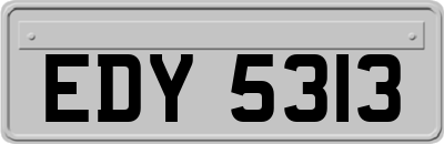 EDY5313