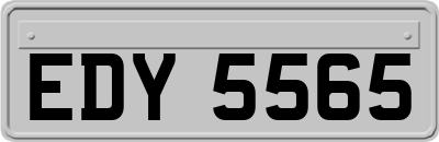 EDY5565
