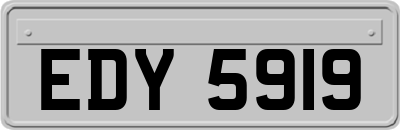 EDY5919