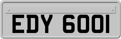 EDY6001