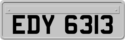 EDY6313