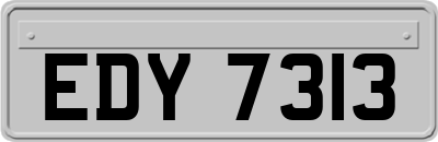 EDY7313