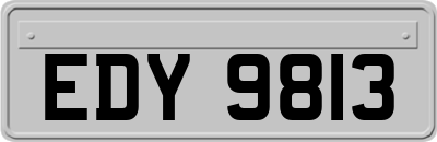 EDY9813