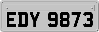 EDY9873