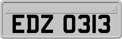 EDZ0313
