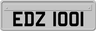 EDZ1001
