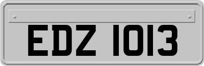 EDZ1013