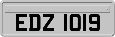 EDZ1019