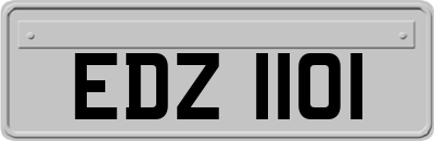 EDZ1101