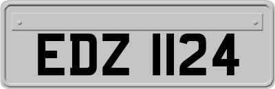 EDZ1124