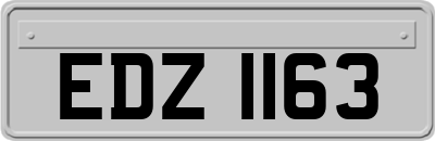EDZ1163