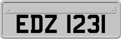 EDZ1231