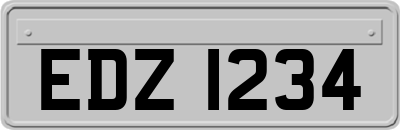 EDZ1234