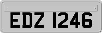 EDZ1246