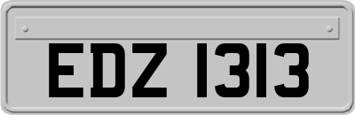 EDZ1313