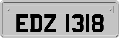 EDZ1318