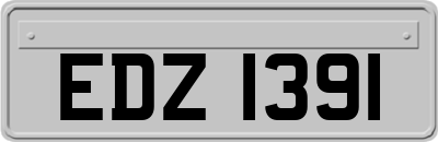 EDZ1391
