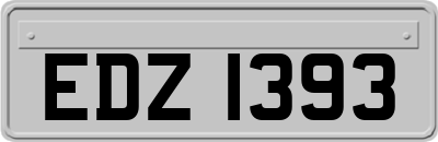 EDZ1393