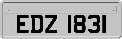 EDZ1831