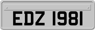 EDZ1981