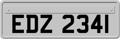 EDZ2341