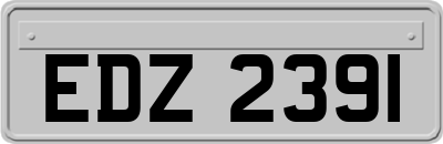 EDZ2391