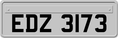 EDZ3173