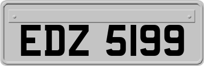 EDZ5199
