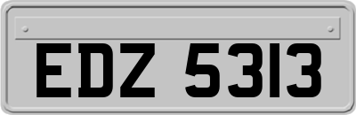 EDZ5313