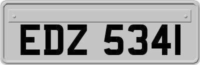 EDZ5341